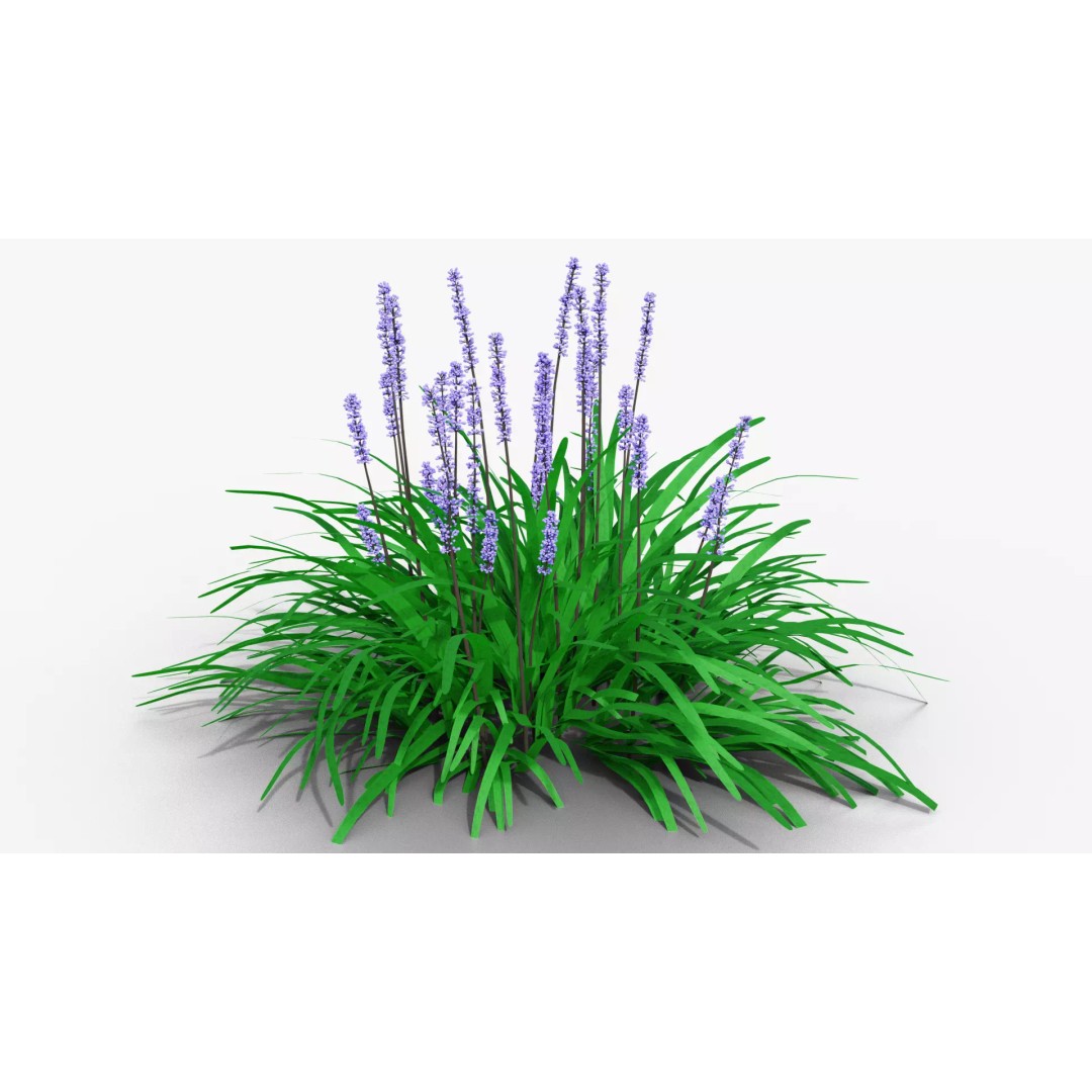Liriope muscari 3D Model – Low Poly Garden Plant, Blender, FBX - View 2