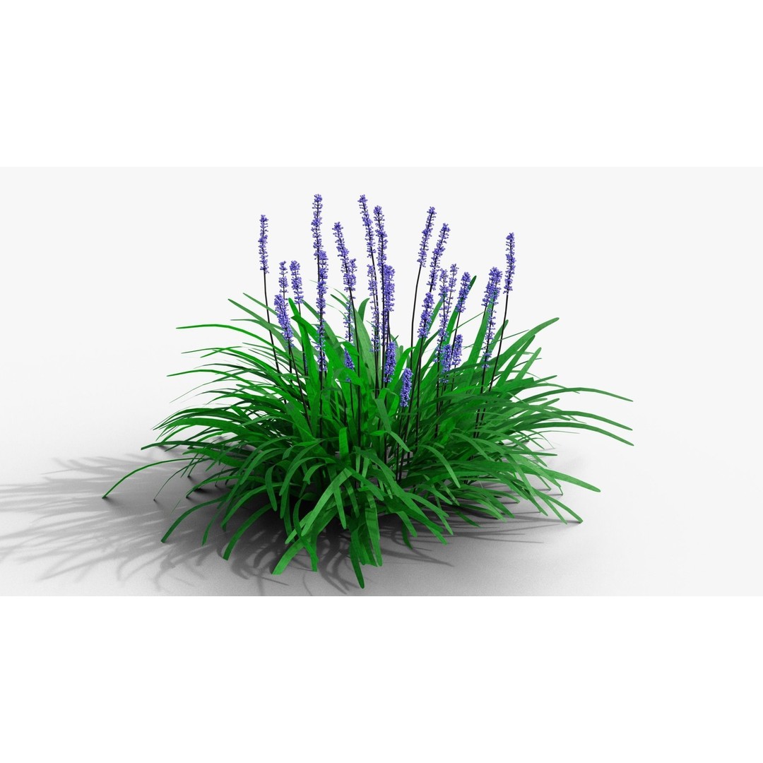 Liriope muscari 3D Model – Low Poly Garden Plant, Blender, FBX - View 3