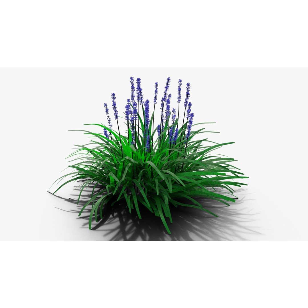 Liriope muscari 3D Model – Low Poly Garden Plant, Blender, FBX - View 7