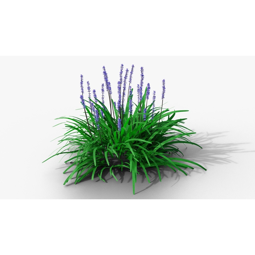 Liriope muscari 3D Model – Low Poly Garden Plant, Blender, FBX - View 8