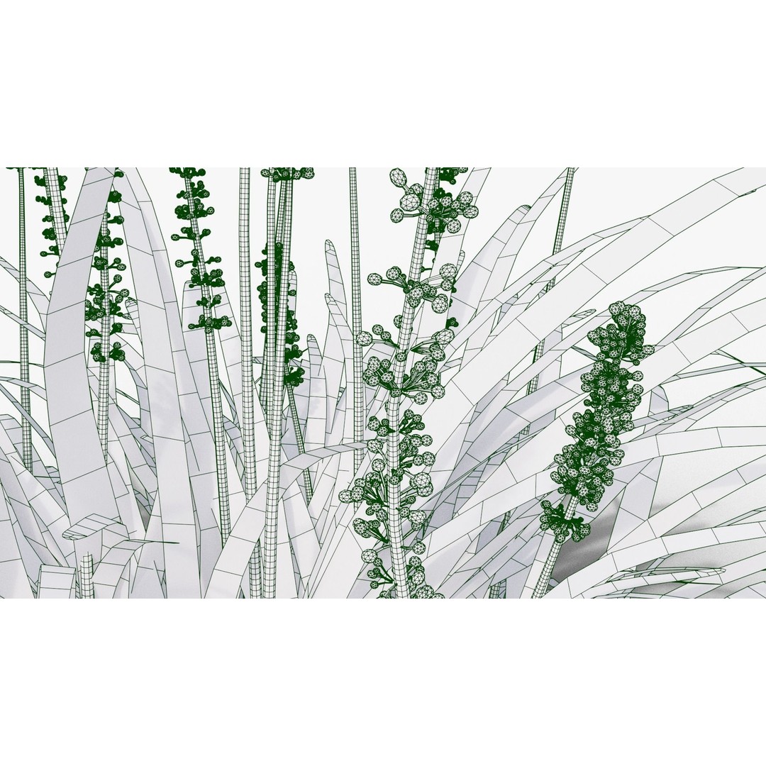 Liriope muscari 3D Model – Low Poly Garden Plant, Blender, FBX - View 9