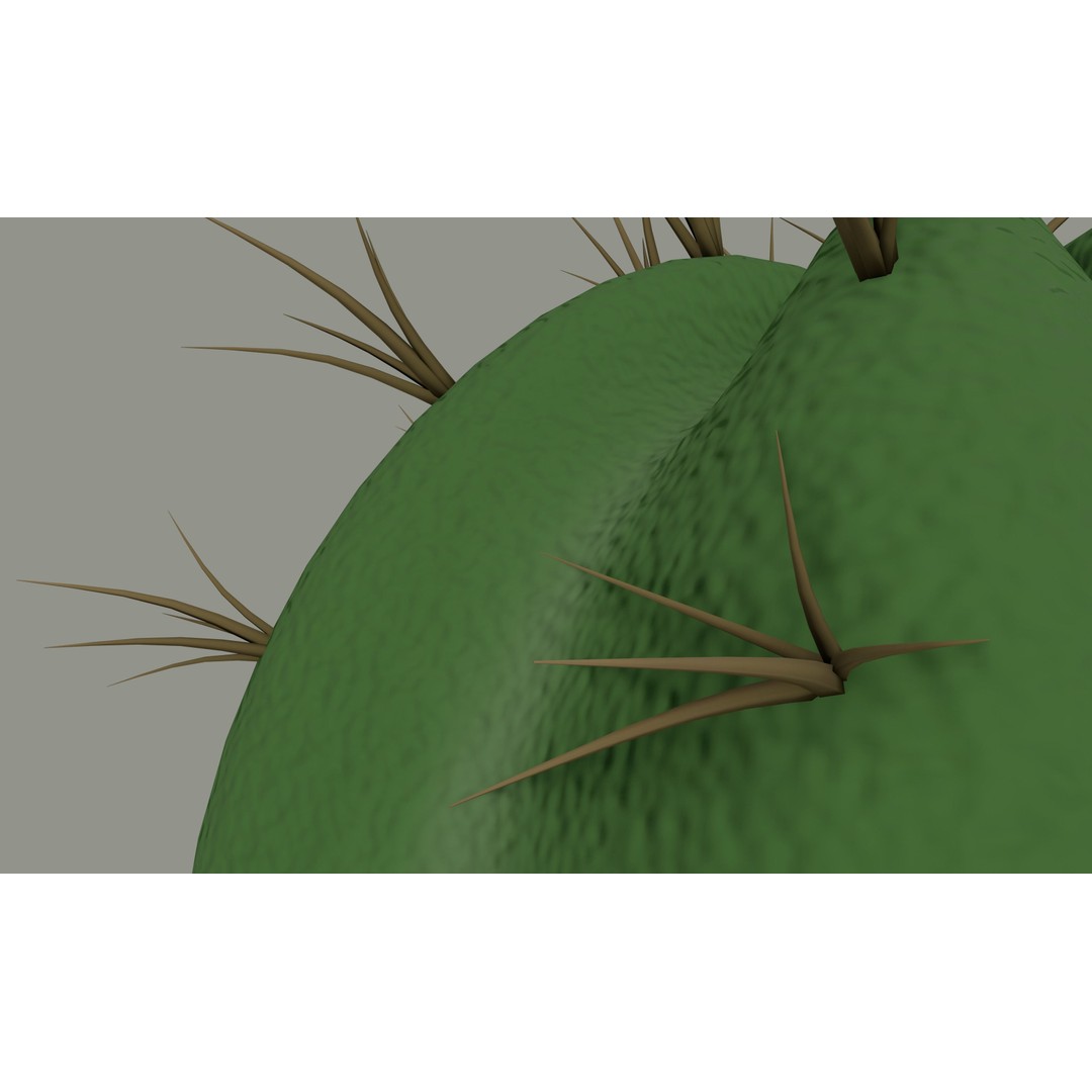 Cactus 3D Model – PBR Pot Plant with Textures, FBX, OBJ - View 10