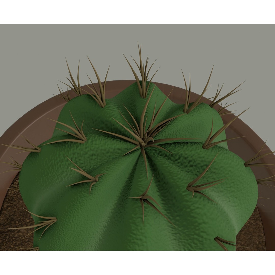Cactus 3D Model – PBR Pot Plant with Textures, FBX, OBJ - View 11