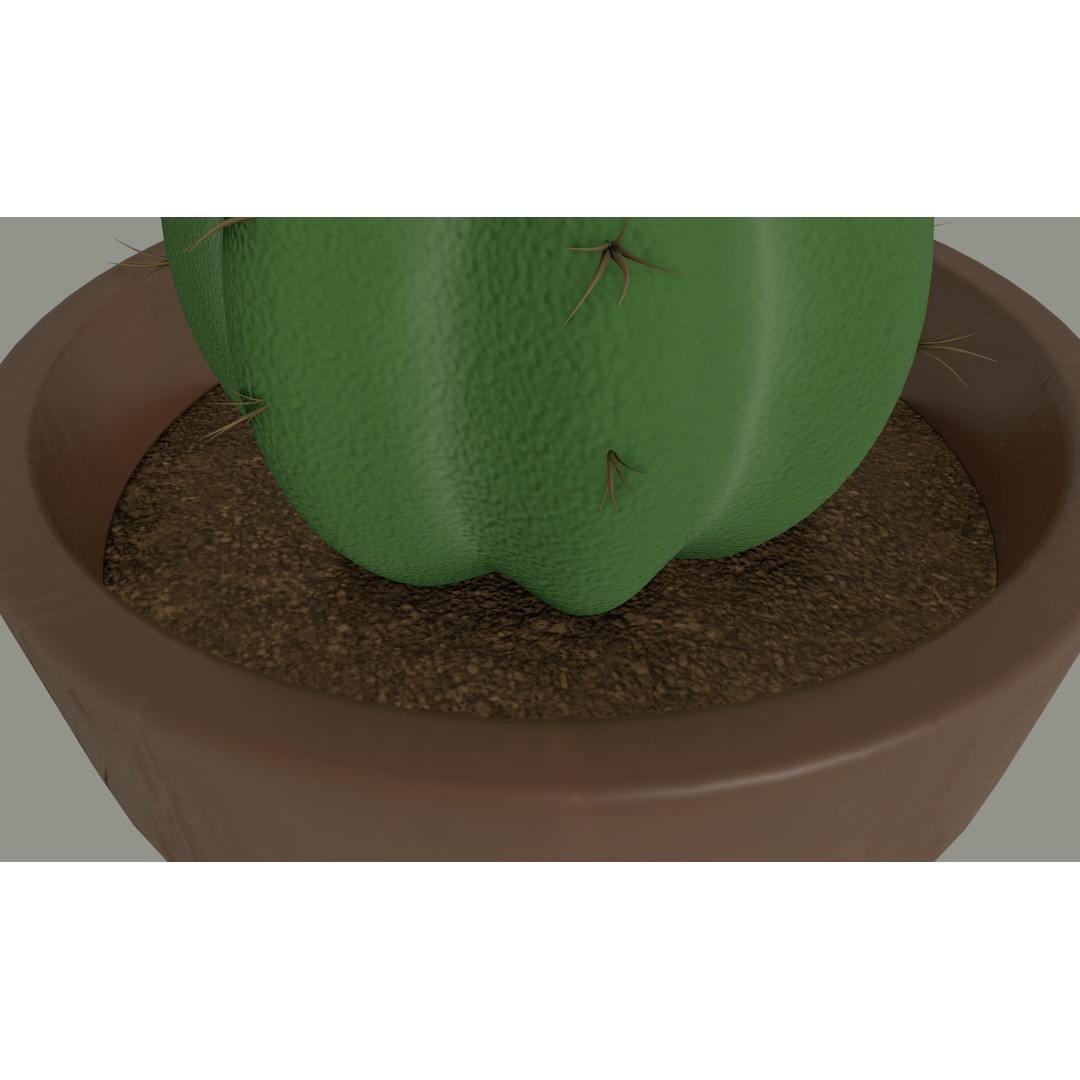 Cactus 3D Model – PBR Pot Plant with Textures, FBX, OBJ - View 12