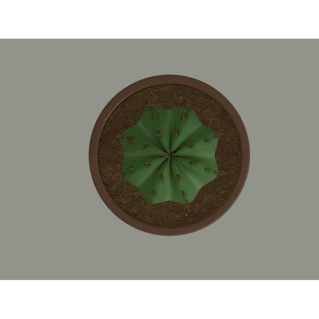 Cactus 3D Model – PBR Pot Plant with Textures, FBX, OBJ - View 13