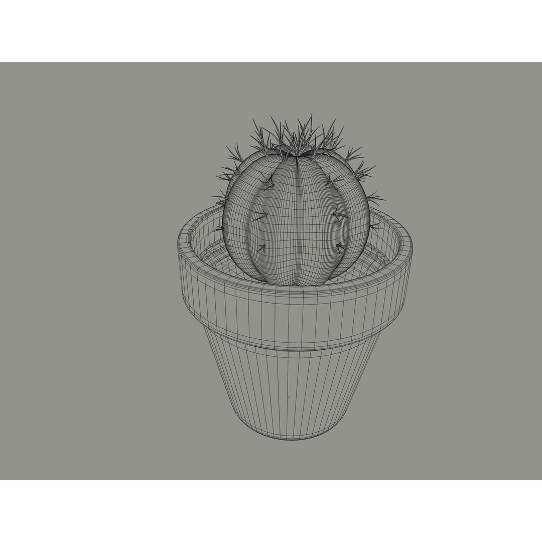 Cactus 3D Model – PBR Pot Plant with Textures, FBX, OBJ - View 14