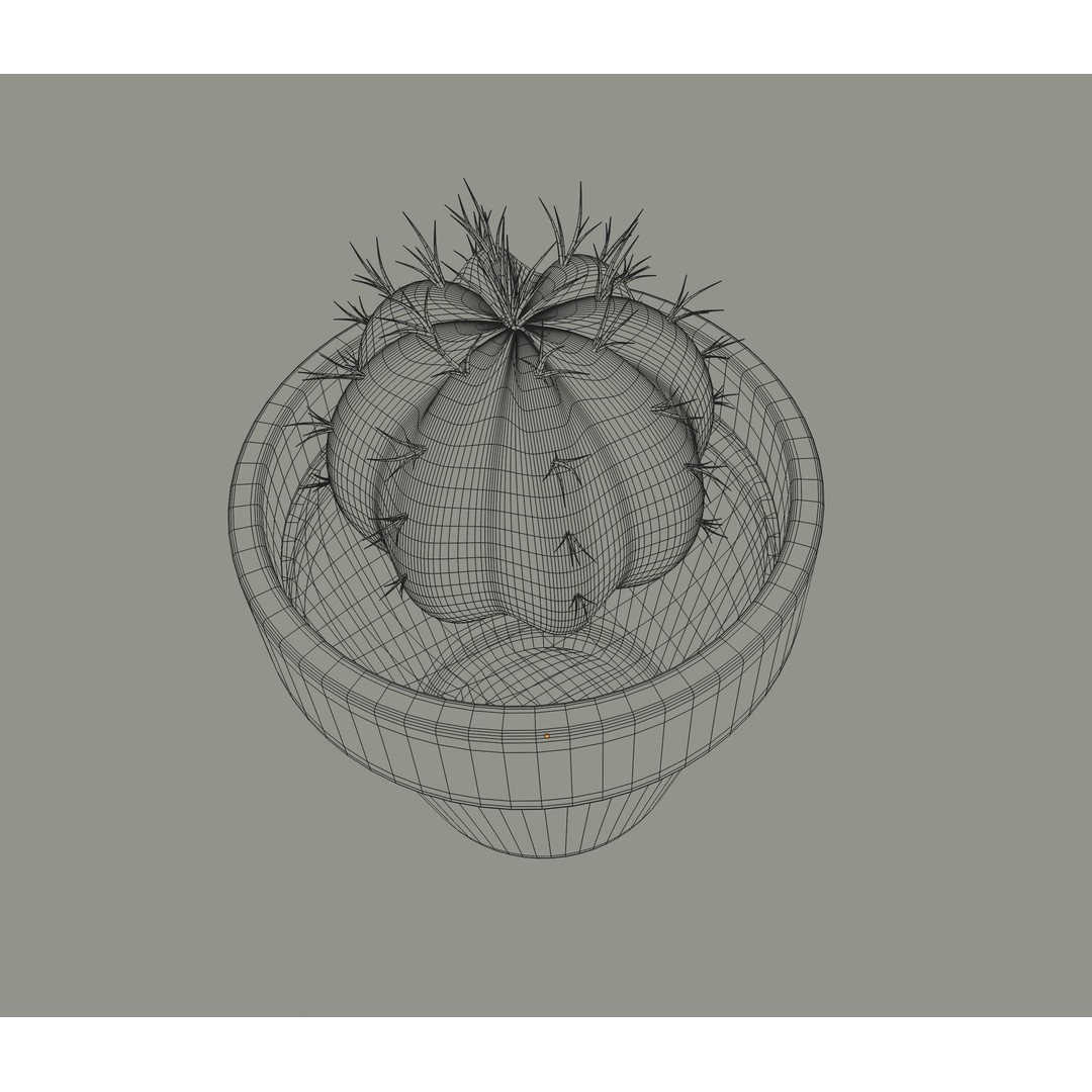 Cactus 3D Model – PBR Pot Plant with Textures, FBX, OBJ - View 15