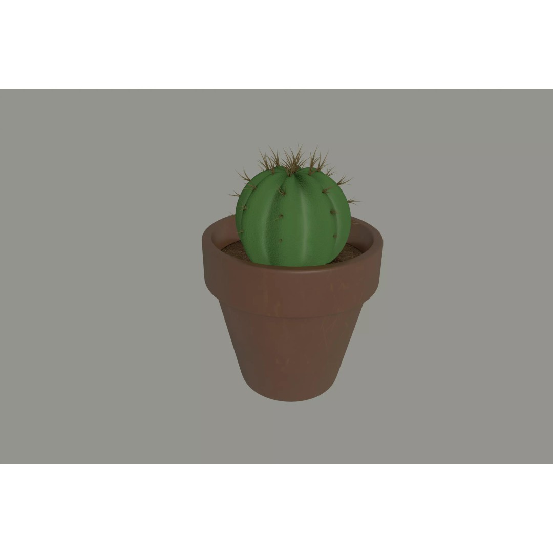 Cactus 3D Model – PBR Pot Plant with Textures, FBX, OBJ - View 2