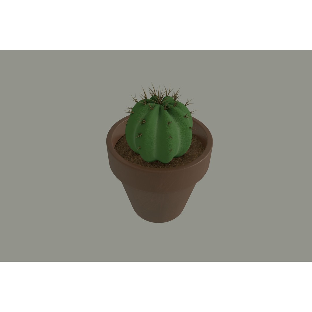 Cactus 3D Model – PBR Pot Plant with Textures, FBX, OBJ - View 3