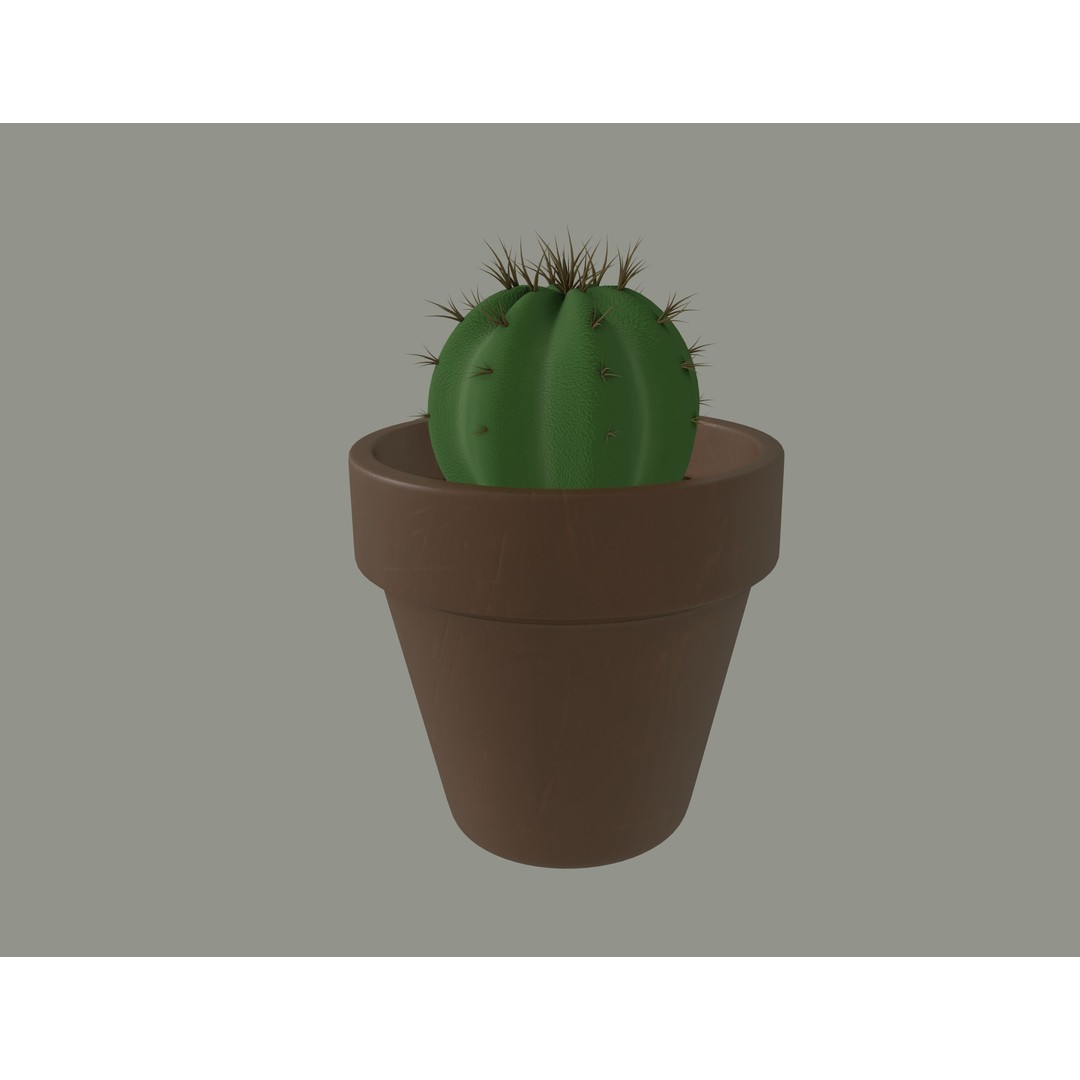 Cactus 3D Model – PBR Pot Plant with Textures, FBX, OBJ - View 4