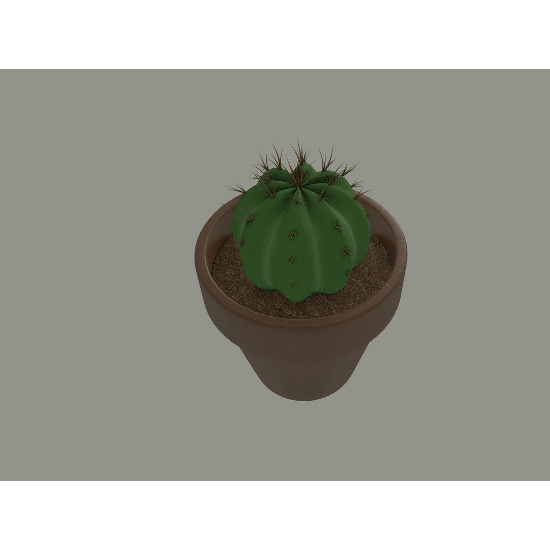 Cactus 3D Model – PBR Pot Plant with Textures, FBX, OBJ - View 5