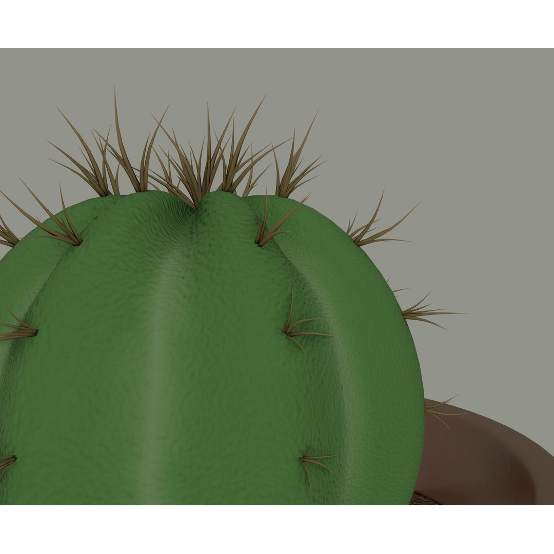 Cactus 3D Model – PBR Pot Plant with Textures, FBX, OBJ - View 9