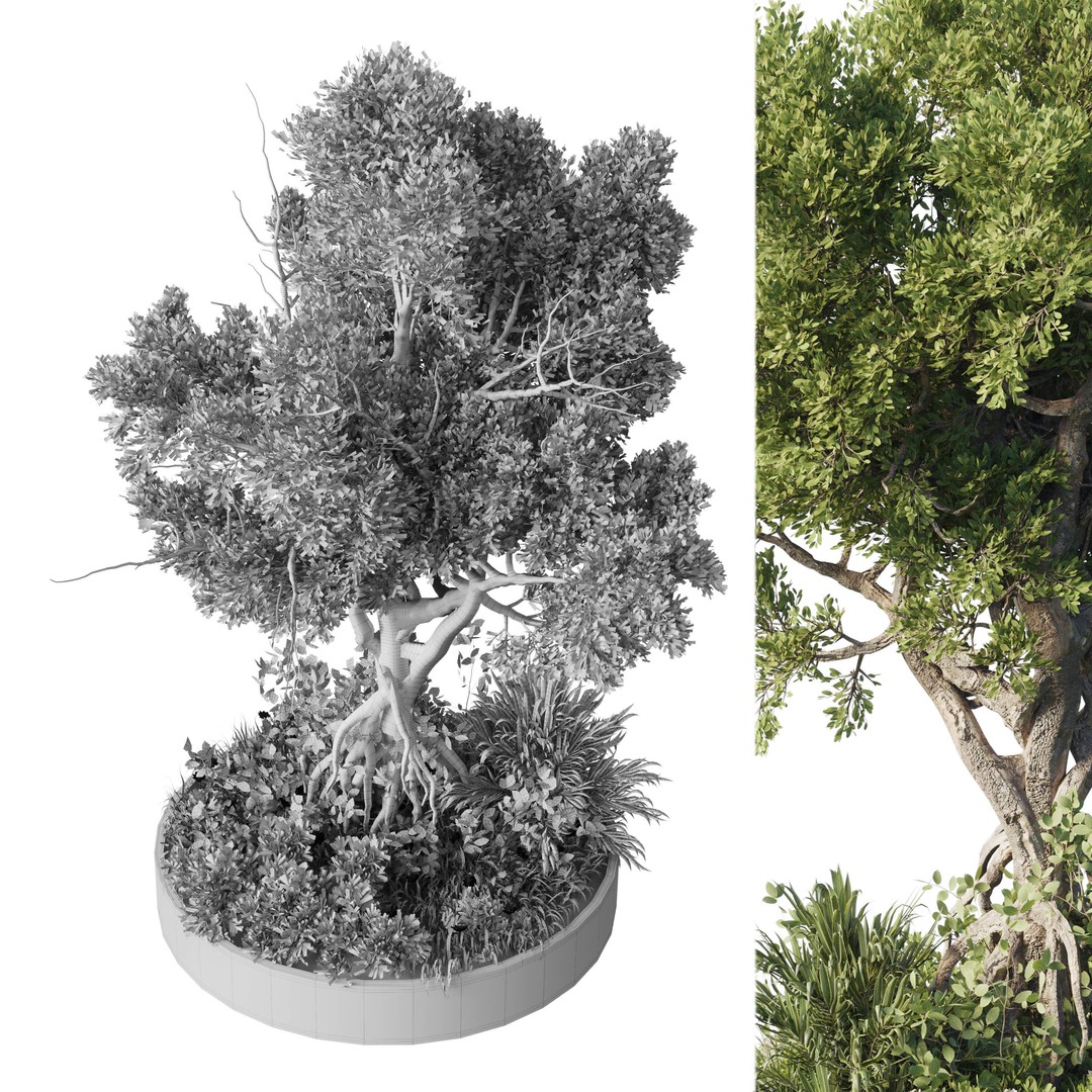 Garden Plants 3D Model – Outdoor Plant Set, PBR Textures, FBX