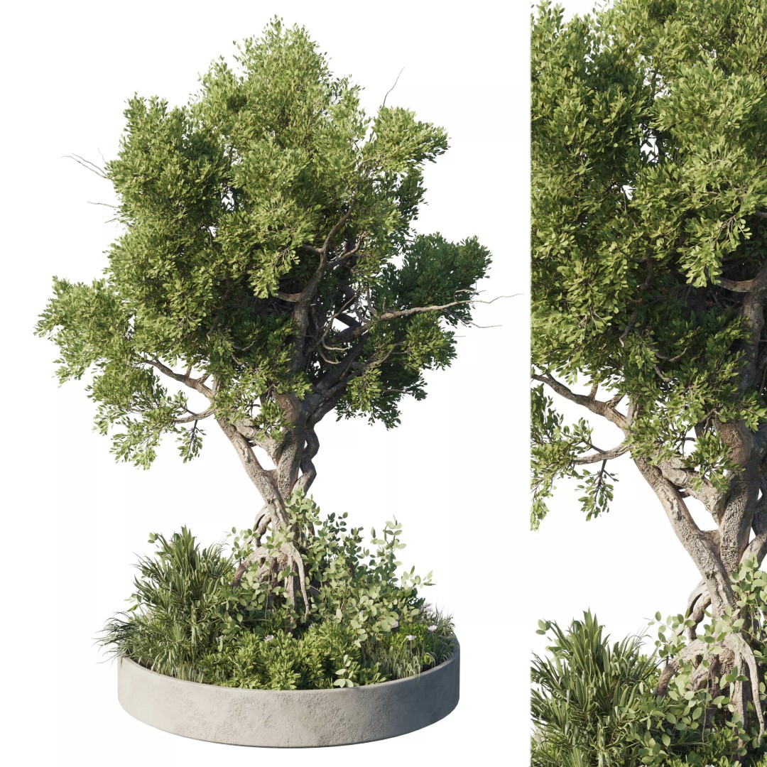 Garden Plants 3D Model – Outdoor Plant Set, PBR Textures, FBX - View 2