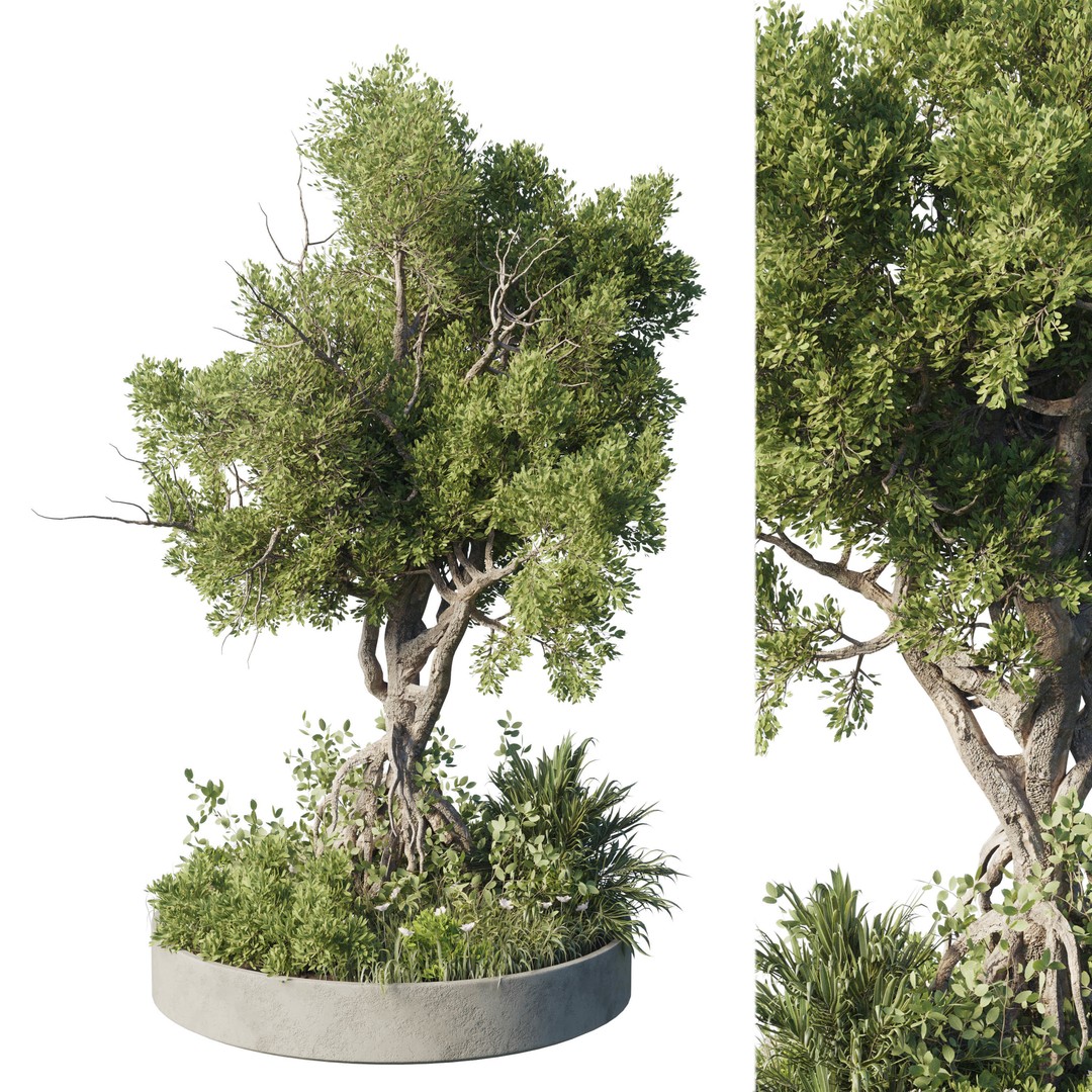 Garden Plants 3D Model – Outdoor Plant Set, PBR Textures, FBX - View 3