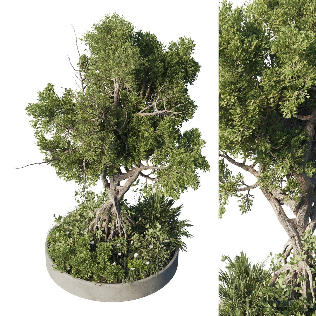 Garden Plants 3D Model – Outdoor Plant Set, PBR Textures, FBX - View 4
