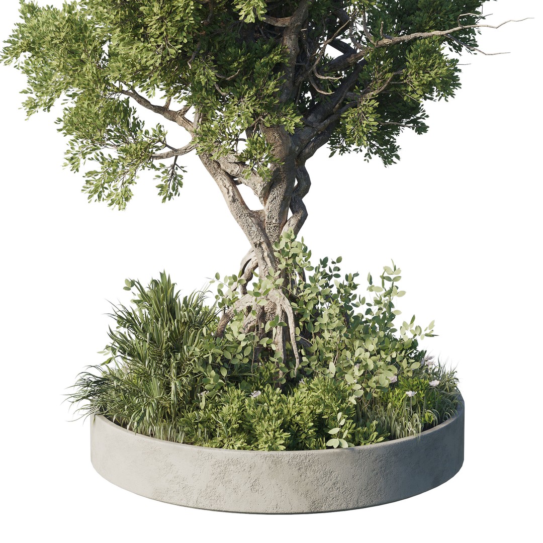 Garden Plants 3D Model – Outdoor Plant Set, PBR Textures, FBX - View 5