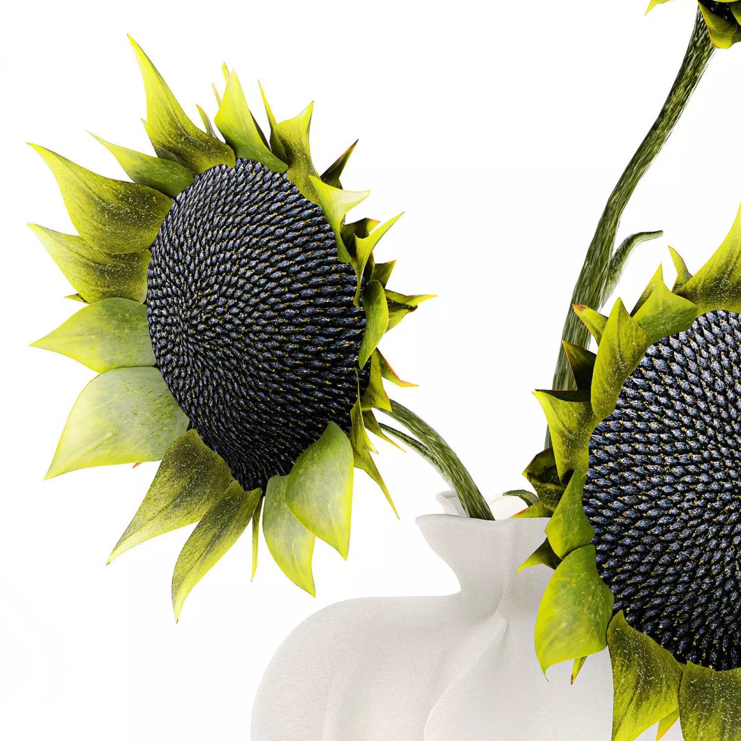Sunflower Bouquet 3D Model – Modern Ceramic Vase Decor, FBX - View 12
