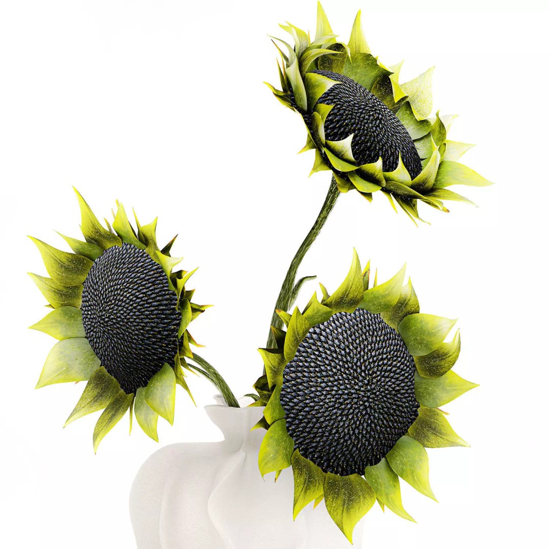 Sunflower Bouquet 3D Model – Modern Ceramic Vase Decor, FBX - View 14