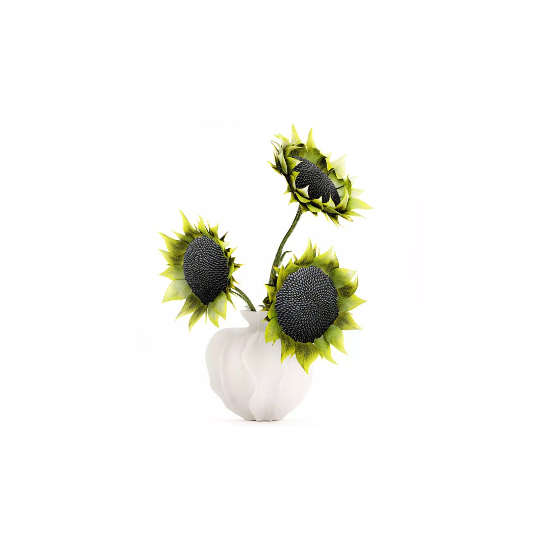 Sunflower Bouquet 3D Model – Modern Ceramic Vase Decor, FBX - View 2