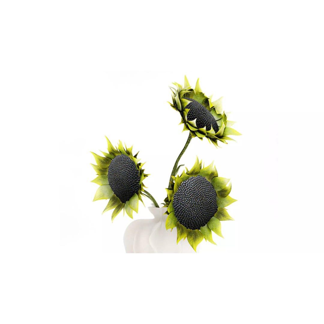 Sunflower Bouquet 3D Model – Modern Ceramic Vase Decor, FBX - View 3
