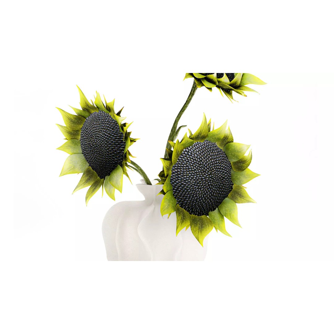 Sunflower Bouquet 3D Model – Modern Ceramic Vase Decor, FBX - View 4
