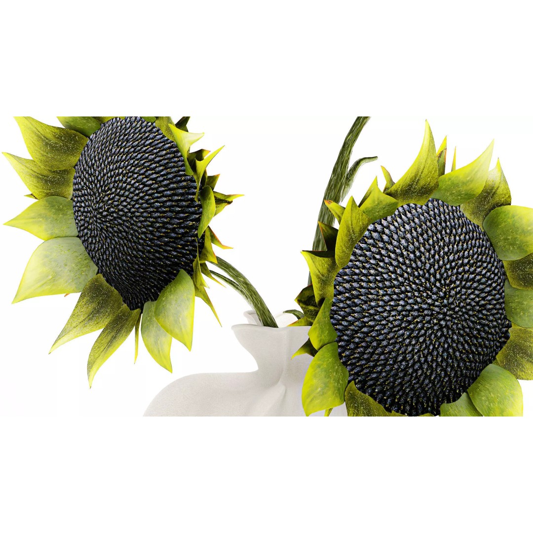 Sunflower Bouquet 3D Model – Modern Ceramic Vase Decor, FBX - View 6