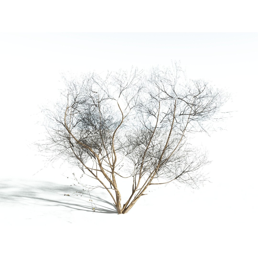 European Hazel 3D Model – Low Poly Bush Asset, FBX, PBR Textures - View 16