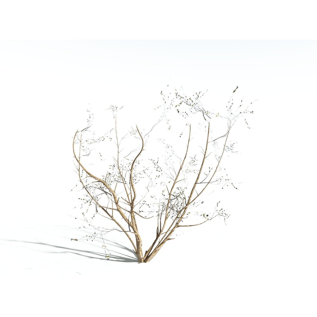 European Hazel 3D Model – Low Poly Bush Asset, FBX, PBR Textures - View 26