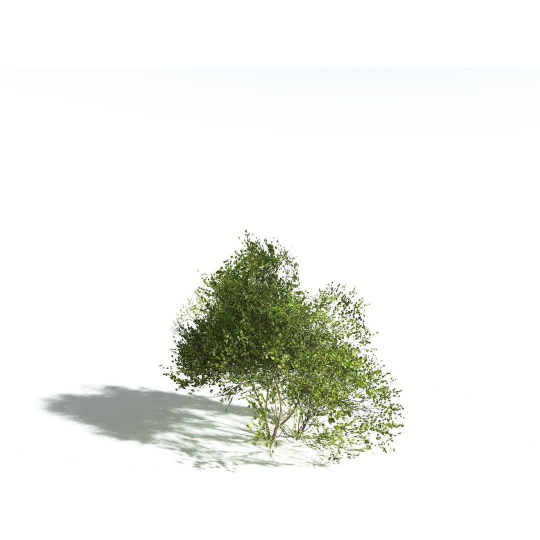 European Hazel 3D Model – Low Poly Bush Asset, FBX, PBR Textures - View 34