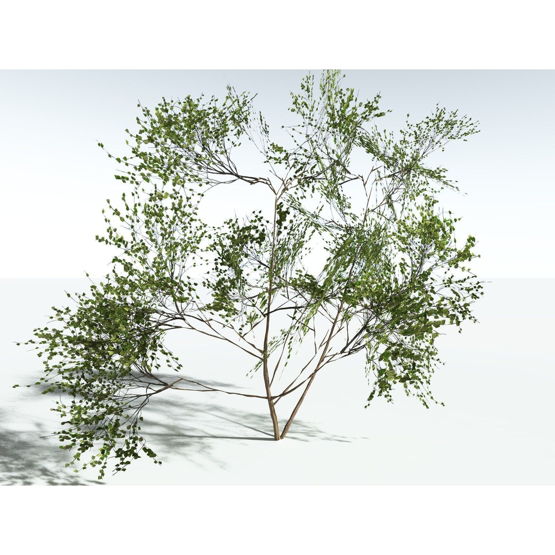 European Hazel 3D Model – Low Poly Bush Asset, FBX, PBR Textures - View 37