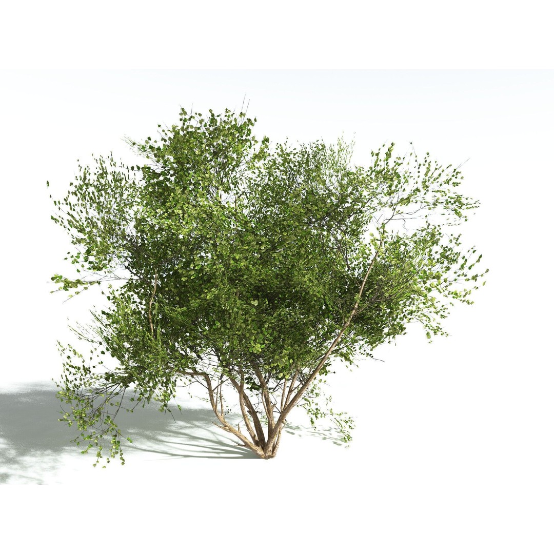 European Hazel 3D Model – Low Poly Bush Asset, FBX, PBR Textures - View 8