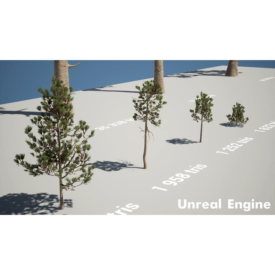 Pine Tree 3D Model – Low Poly Game Ready Asset, FBX/Blender - View 13