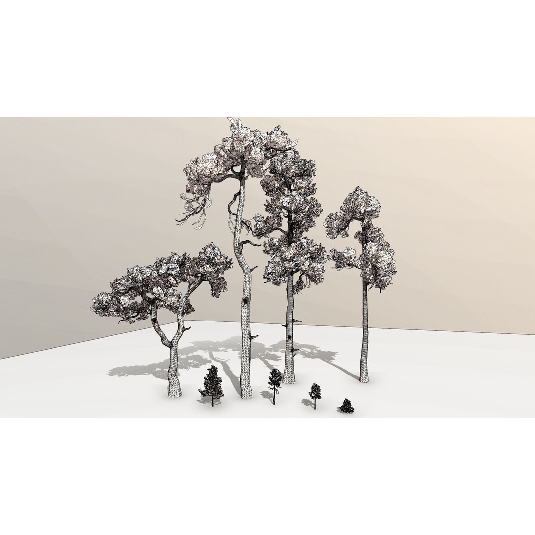 Pine Tree 3D Model – Low Poly Game Ready Asset, FBX/Blender - View 16