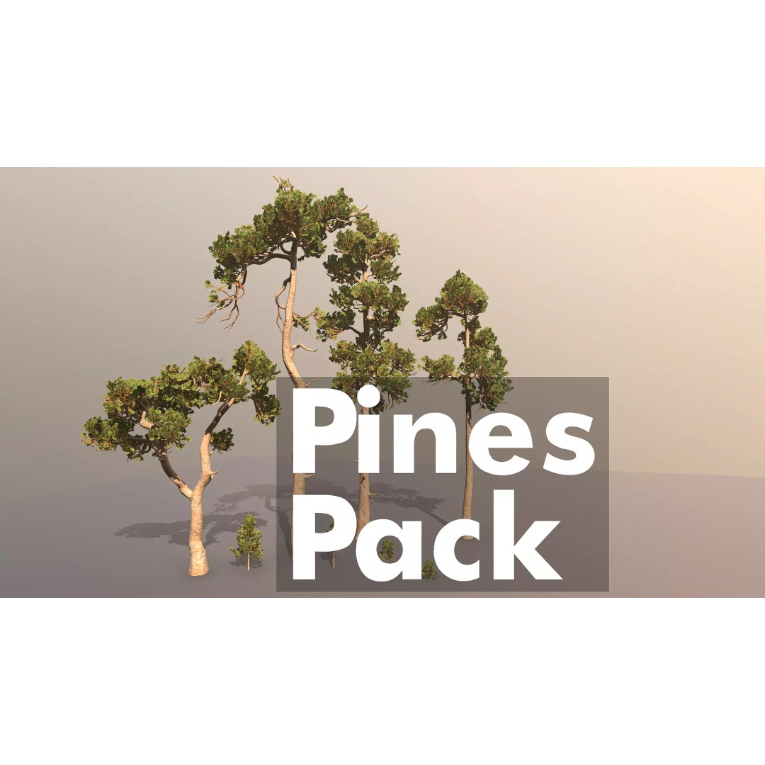 Pine Tree 3D Model – Low Poly Game Ready Asset, FBX/Blender - View 2