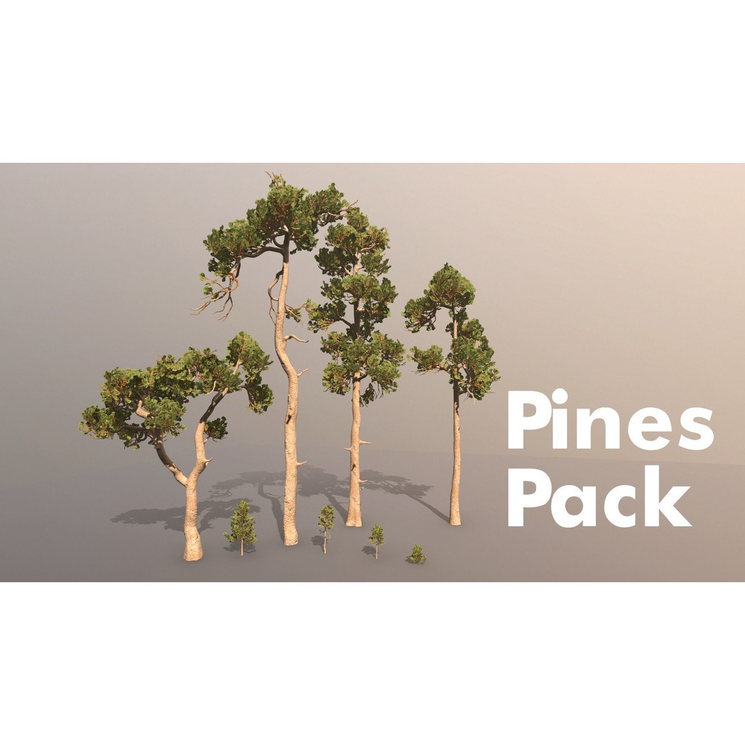 Pine Tree 3D Model – Low Poly Game Ready Asset, FBX/Blender - View 3
