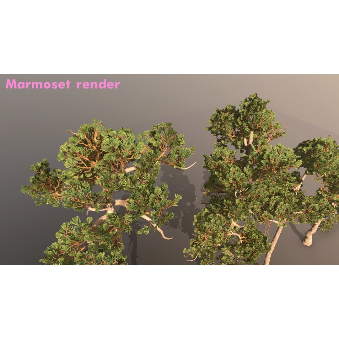 Pine Tree 3D Model – Low Poly Game Ready Asset, FBX/Blender - View 6