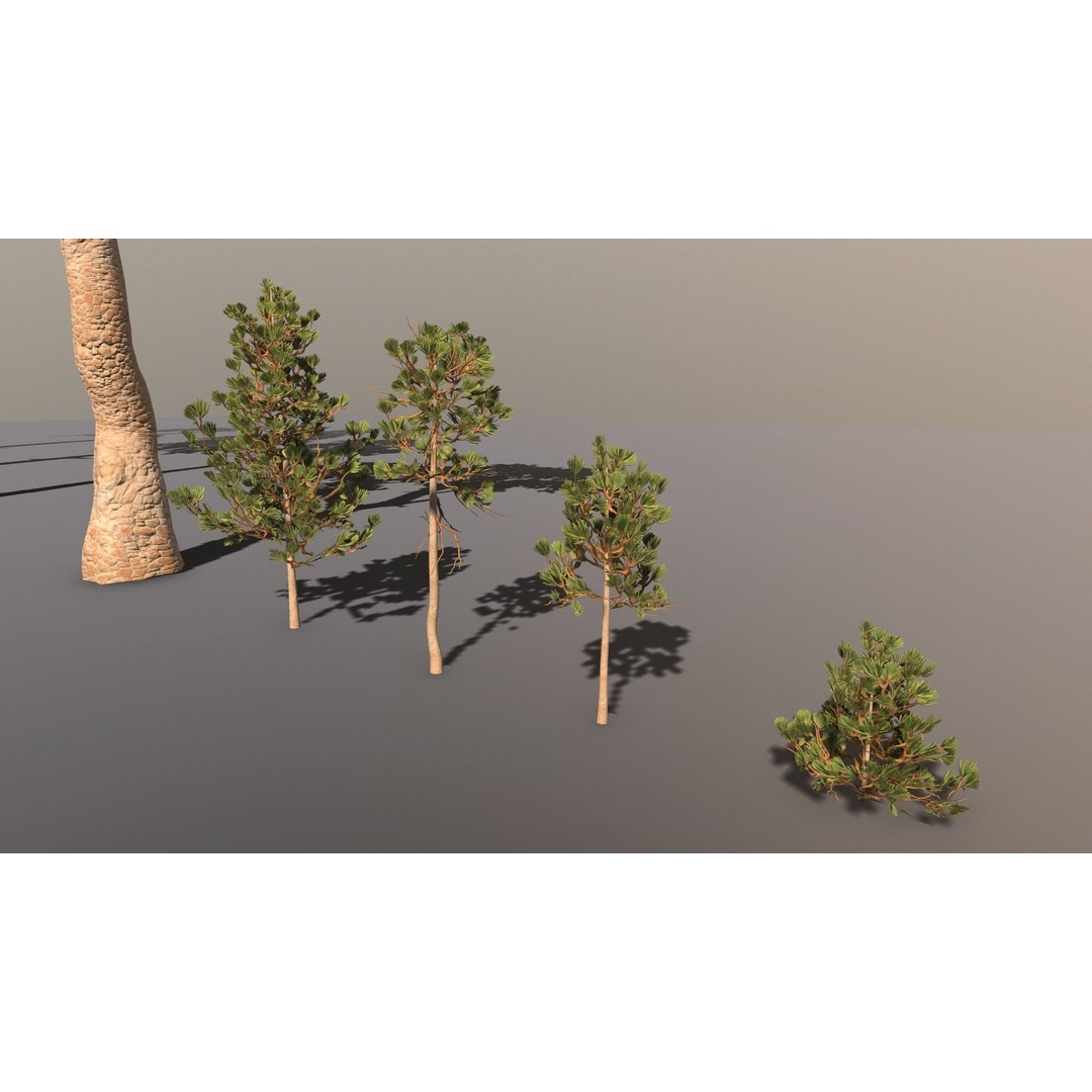 Pine Tree 3D Model – Low Poly Game Ready Asset, FBX/Blender - View 7