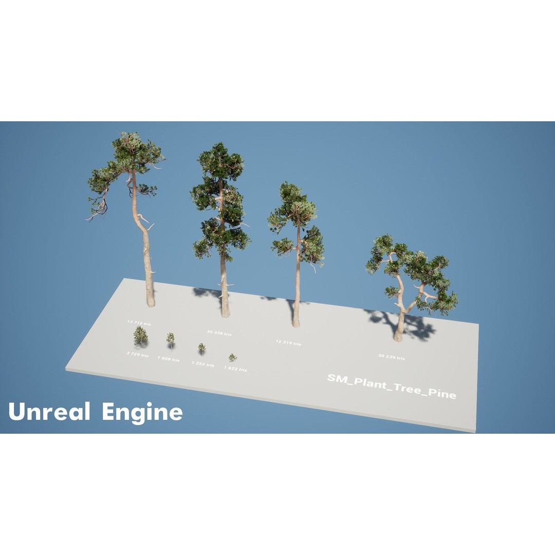 Pine Tree 3D Model – Low Poly Game Ready Asset, FBX/Blender - View 8