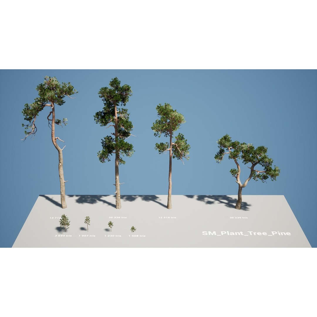Pine Tree 3D Model – Low Poly Game Ready Asset, FBX/Blender - View 9