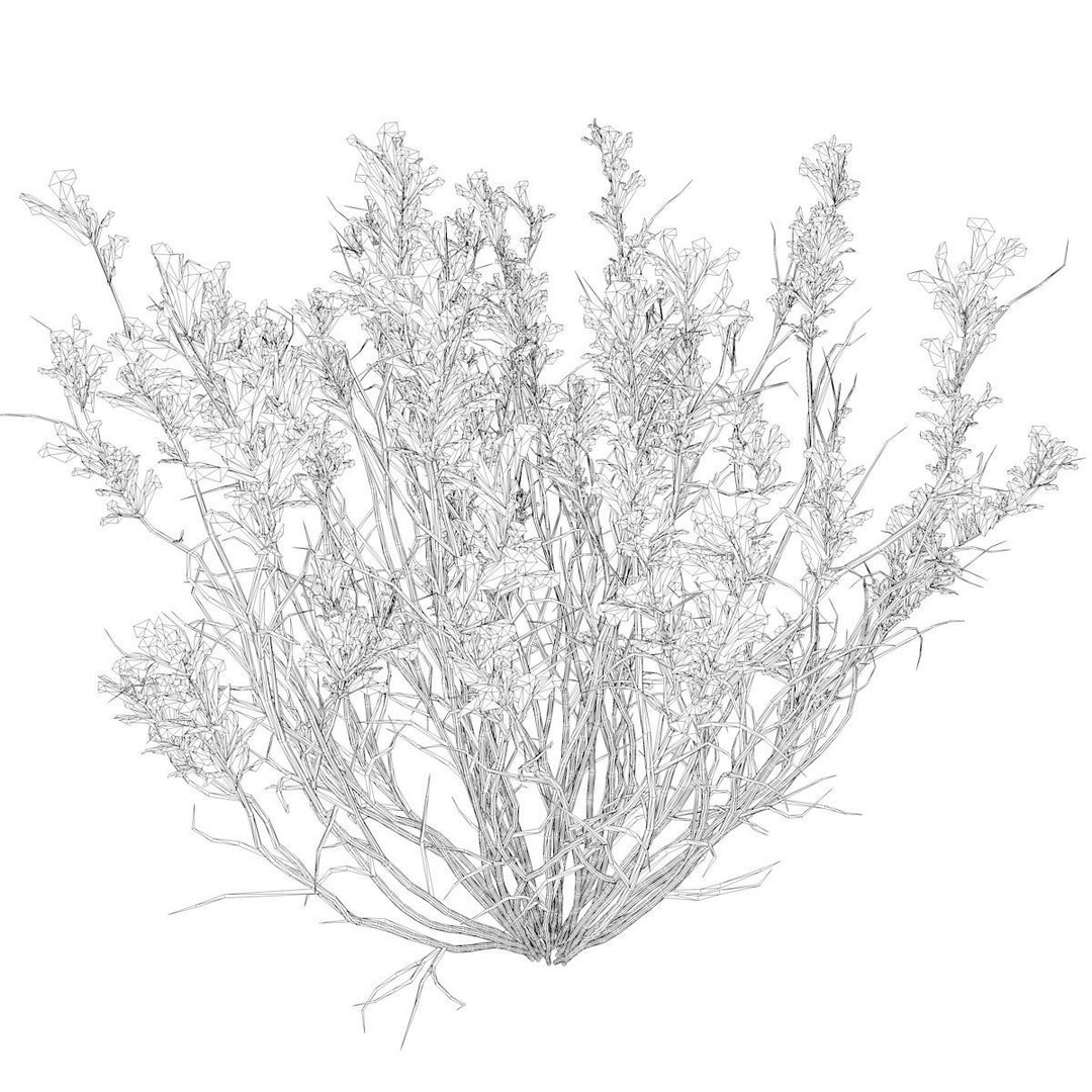 Broom Snakeweed 3D Model – Photorealistic Plant Asset, FBX - View 3