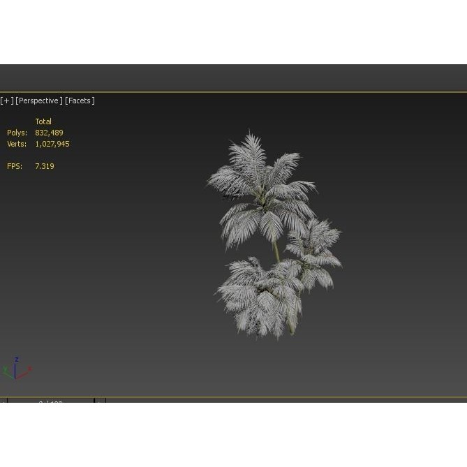 Palm Tree 3D Model – High Poly Tropical Plant with Textures - View 5