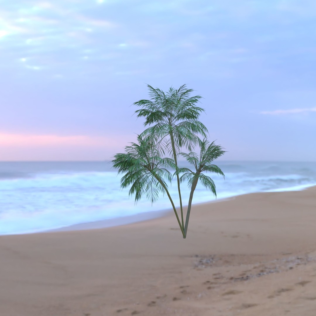 Palm Tree 3D Model – High Poly Tropical Plant with Textures - View 6
