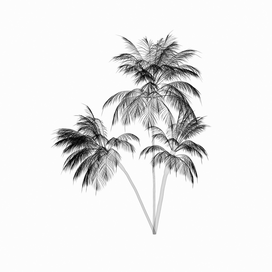 Palm Tree 3D Model – High Poly Tropical Plant with Textures - View 9