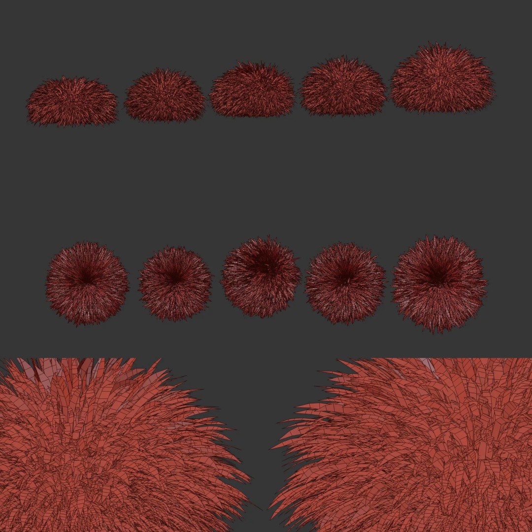 Gracillimus Plants 528 3D Model – Realistic Grass Asset, FBX, OBJ