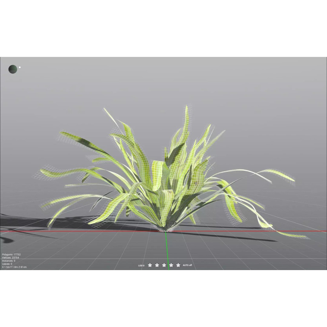 Bird's Nest Fern 3D Model – High Poly PBR Plant Asset, FBX - View 34
