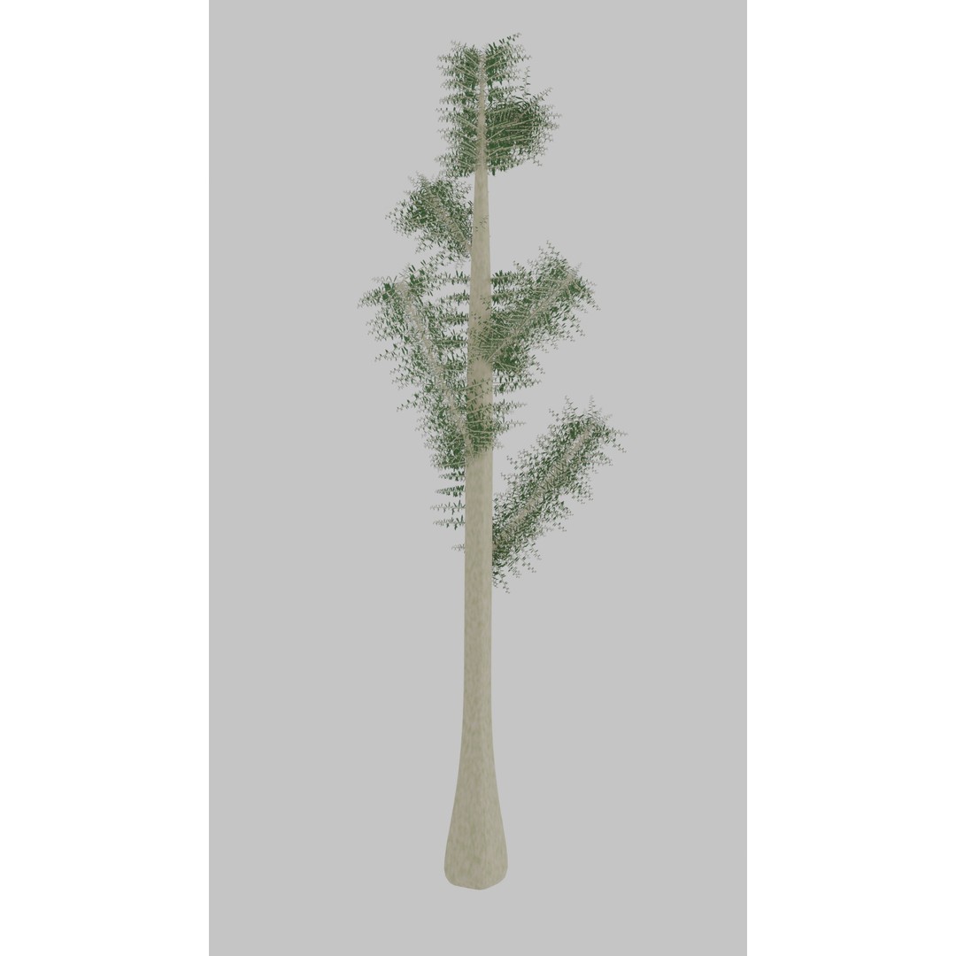 Tree 3D Model – Low Poly with Four Foliage Types, Blender - View 13