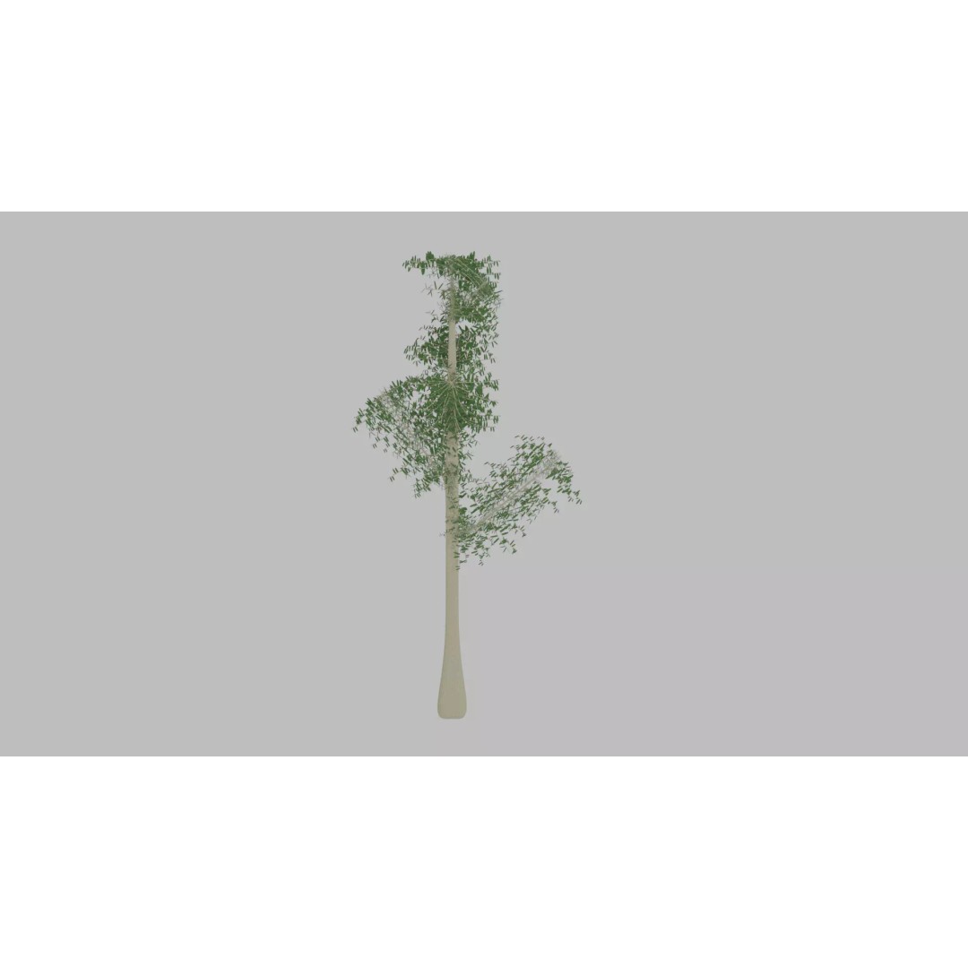Tree 3D Model – Low Poly with Four Foliage Types, Blender - View 2