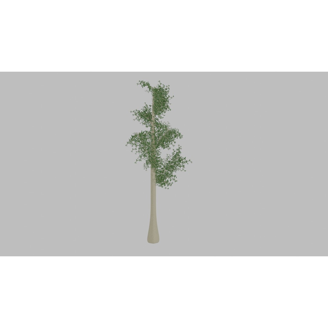 Tree 3D Model – Low Poly with Four Foliage Types, Blender - View 3
