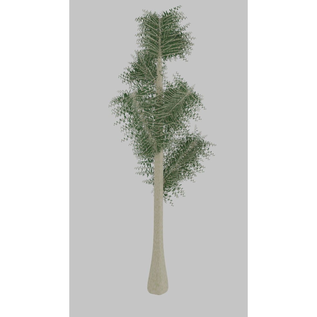 Tree 3D Model – Low Poly with Four Foliage Types, Blender - View 4